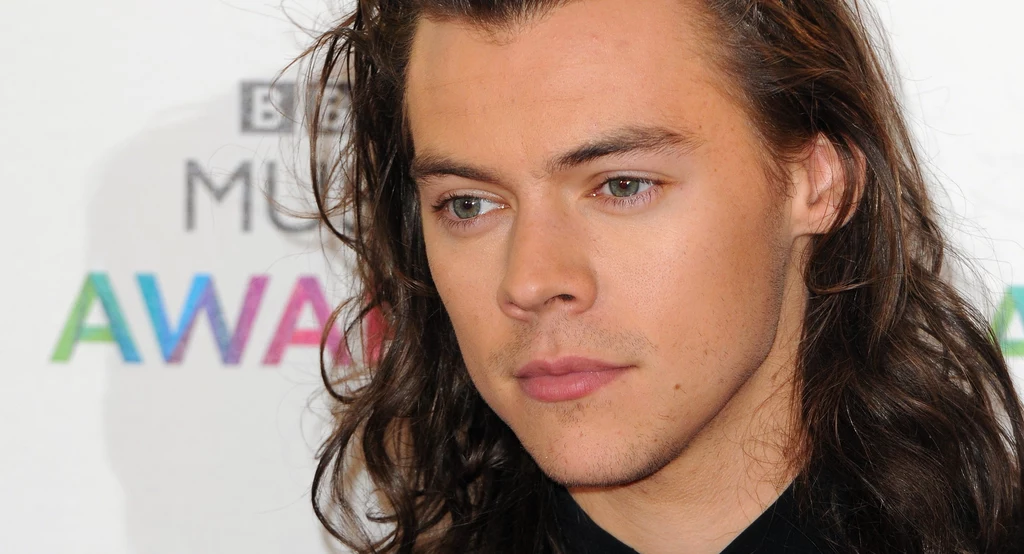 Harry Styles będzie największą gwiazdą muzyki? Harry Styles będzie największą gwiazdą muzyki?