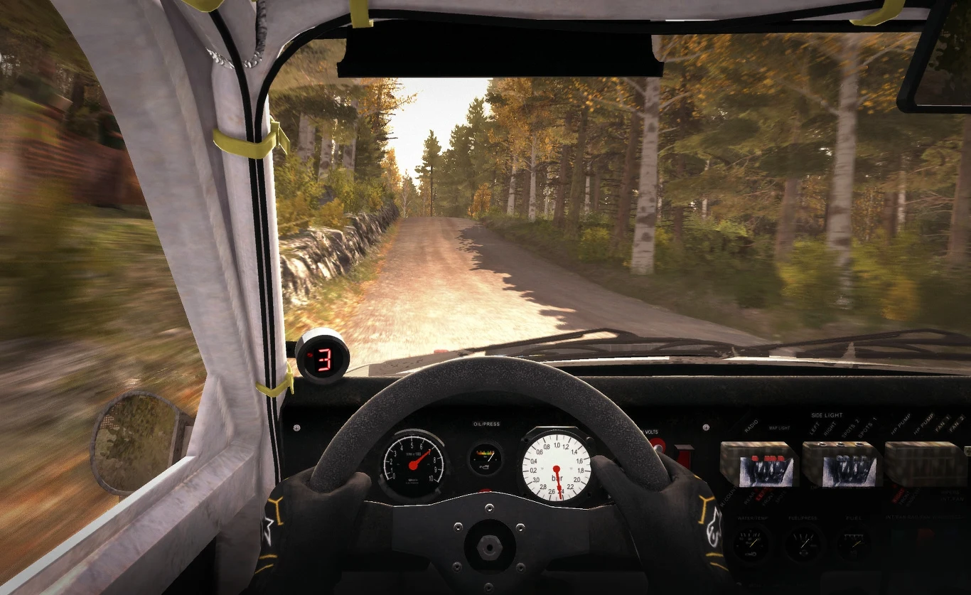 Dirt Rally