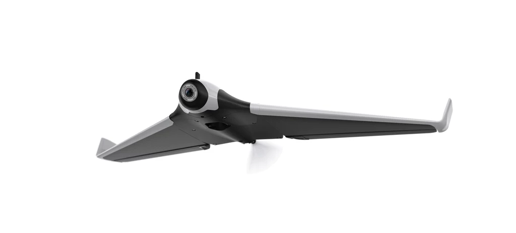 Parrot Disco 