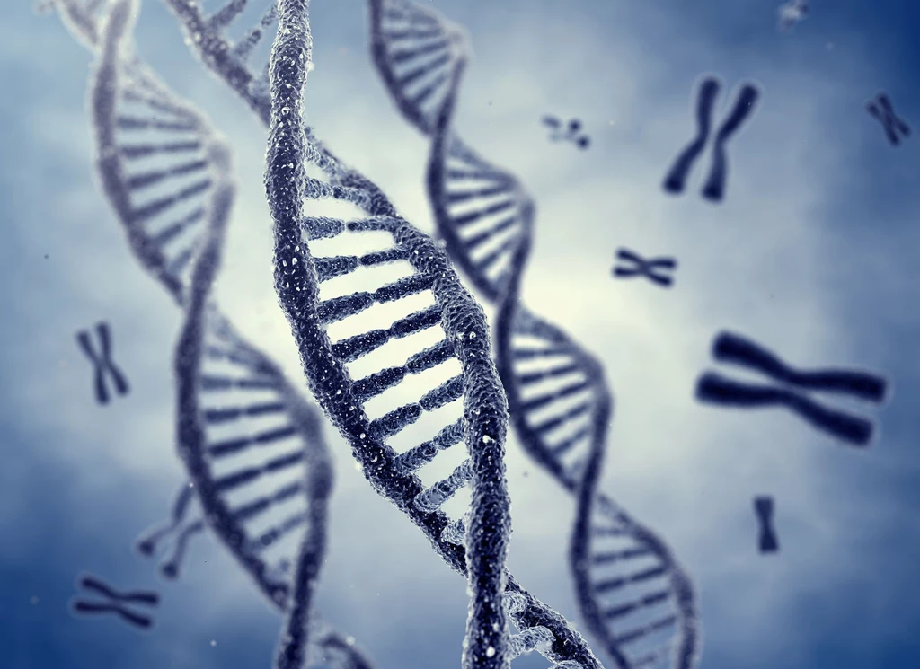 Badania DNA mogą pomóc w dobraniu diety Badania DNA mogą pomóc w dobraniu diety