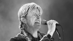 Zmarł David Bowie. Polscy artyści i dziennikarze wspominają legendę