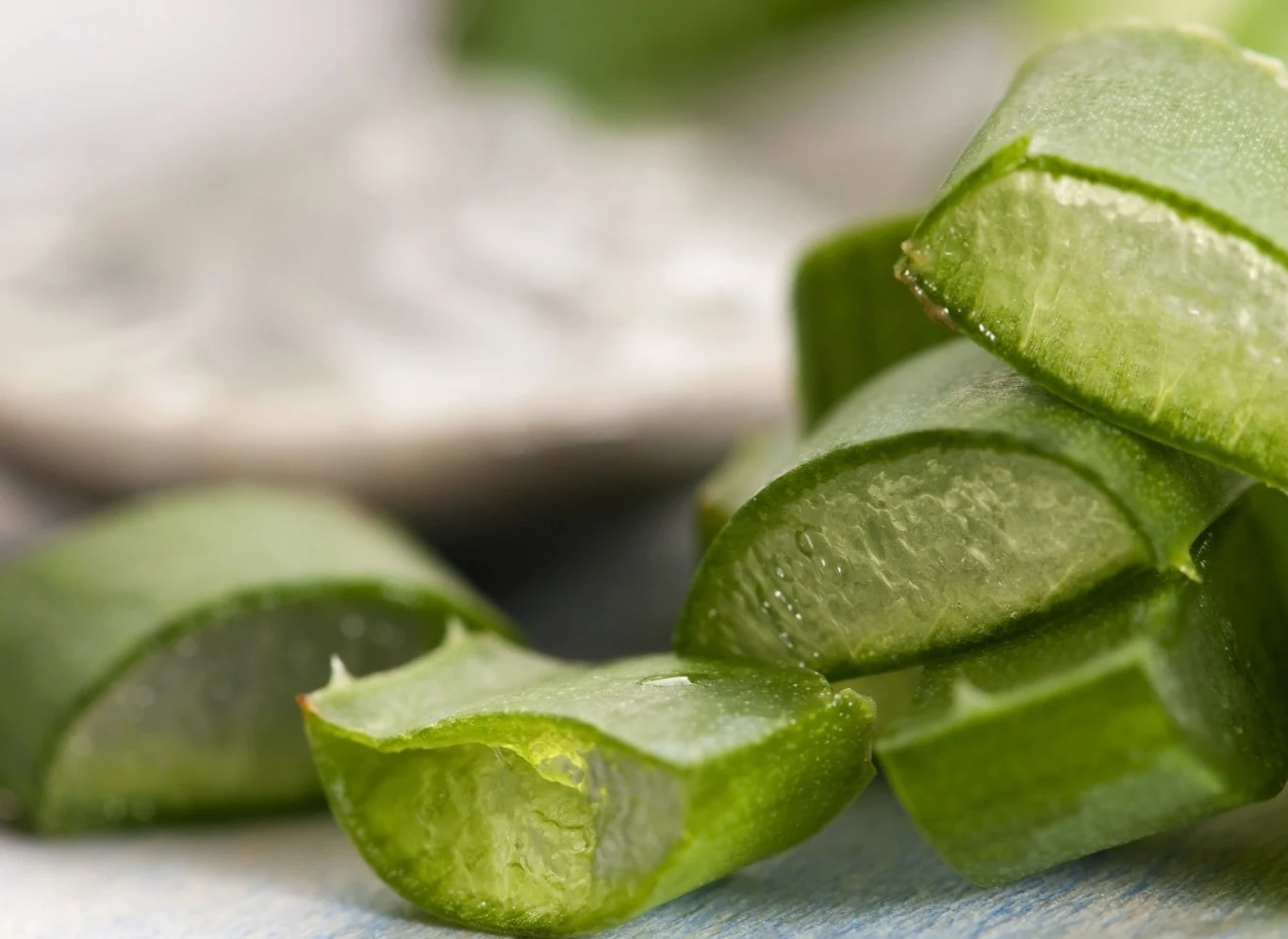 Aloes, znany ze swojego działania kojącego Aloes, znany ze swojego działania kojącego