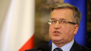 Tulipan "Bronisław Komorowski" będzie "dostojny i elegancki" 