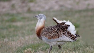 Drop / Zdj. ilustracyjne 