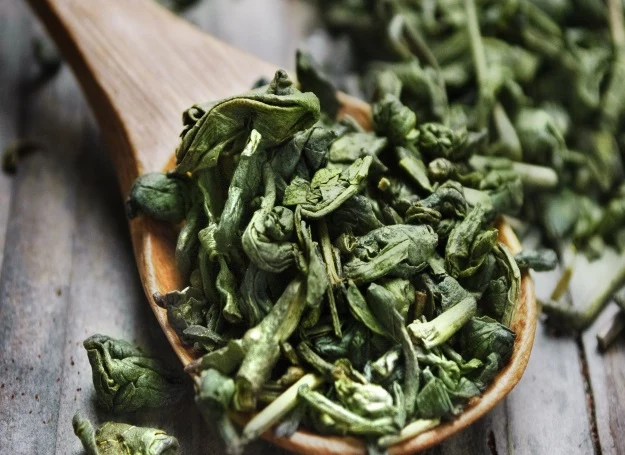 Zielona herbata to bogate źródło antyoksydantów 