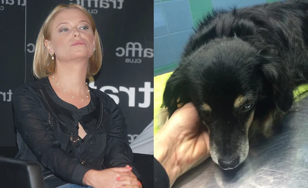 Paulina Młynarska nie kryje wściekłości