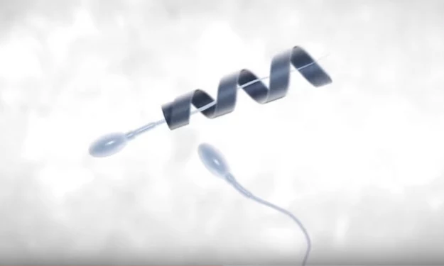 Spermbot może być rewolucją w dziedzinie leczenia męskiej bezpłodności Spermbot może być rewolucją w dziedzinie leczenia męskiej bezpłodności