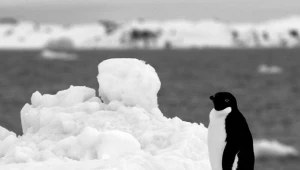 Stacja znajduje się na terenie Antarktydy Wschodniej (zdjęcie ilustracyjne)