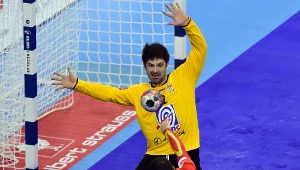 Darko Stanić