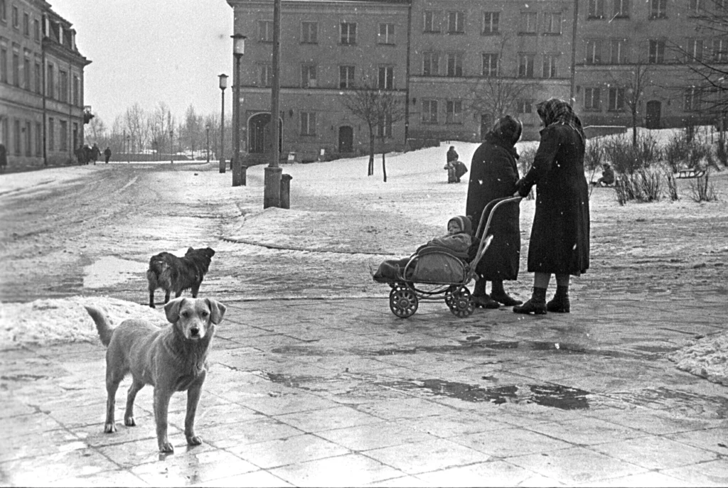Zima w PRL, lata 50.