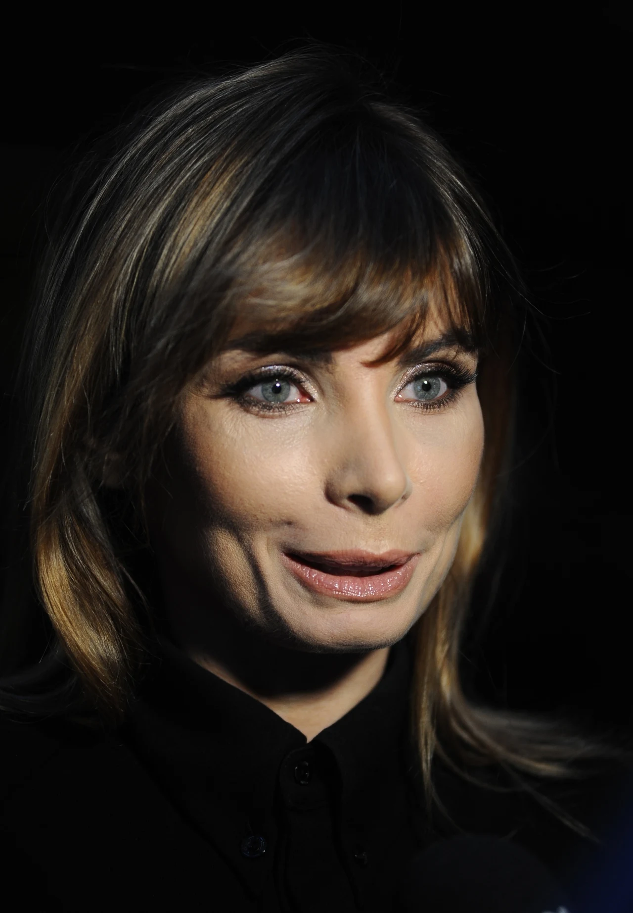 Agnieszka Dygant, styczeń 2016 Agnieszka Dygant, styczeń 2016