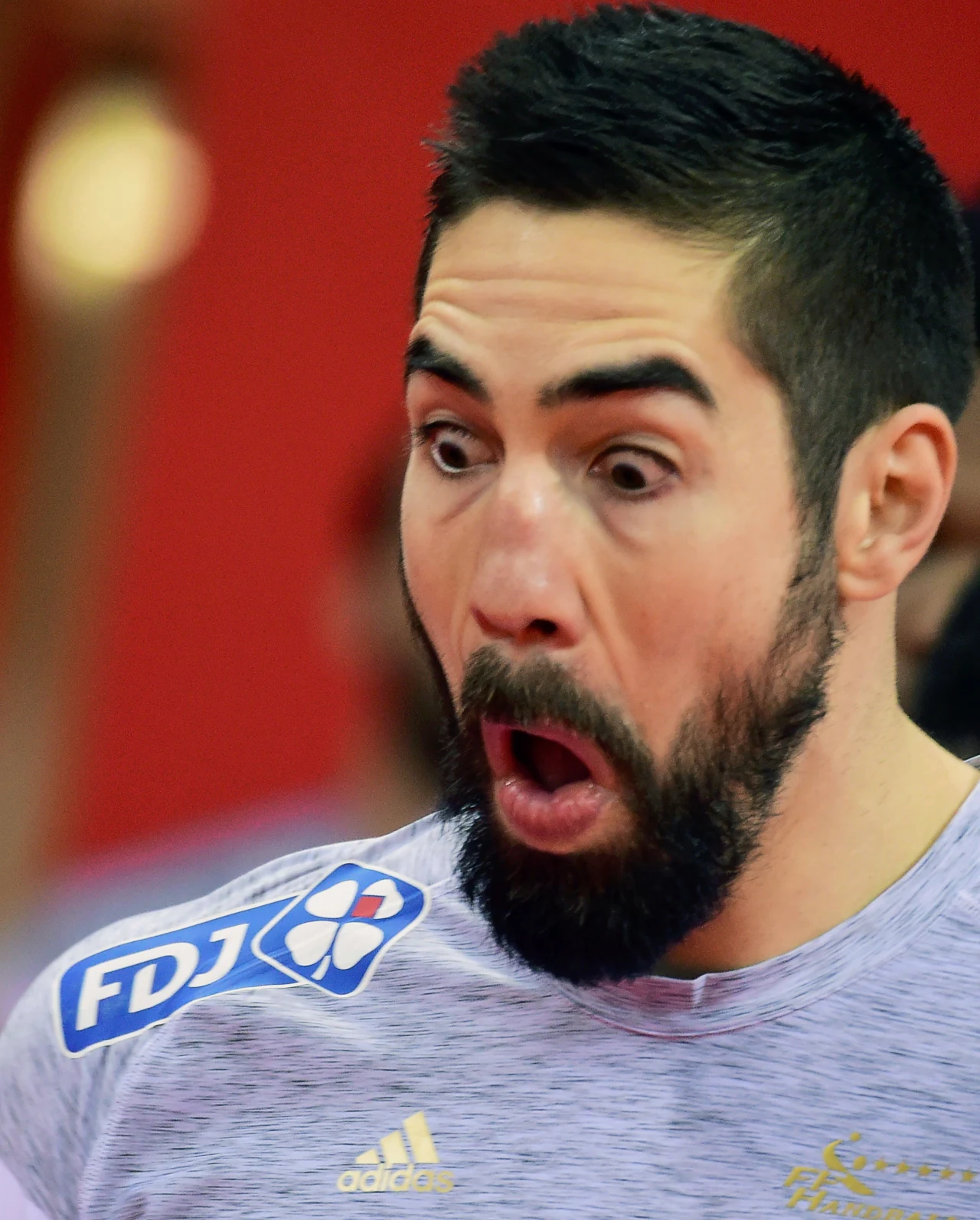 Nikola Karabatić Nikola Karabatić
