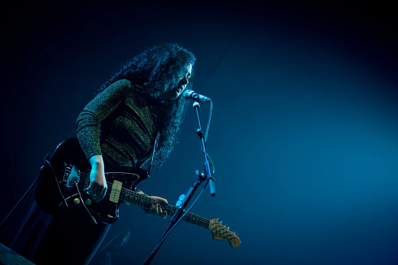 Sara Hartman na koncercie w Warszawie