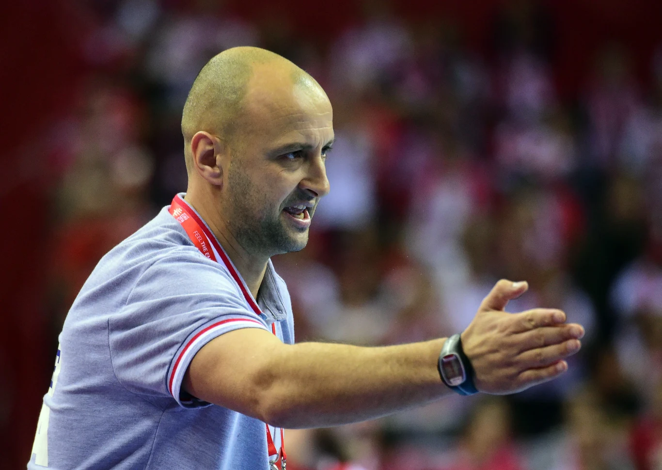 Zeljko Babić Zeljko Babić