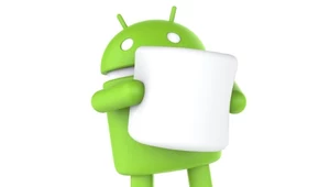 Android 6.0 Marshmallow z marginalnym udziałem w rynku