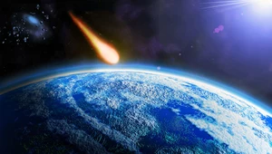 Asteroida o średnicy 1 km zniszczyłaby życie na Ziemi