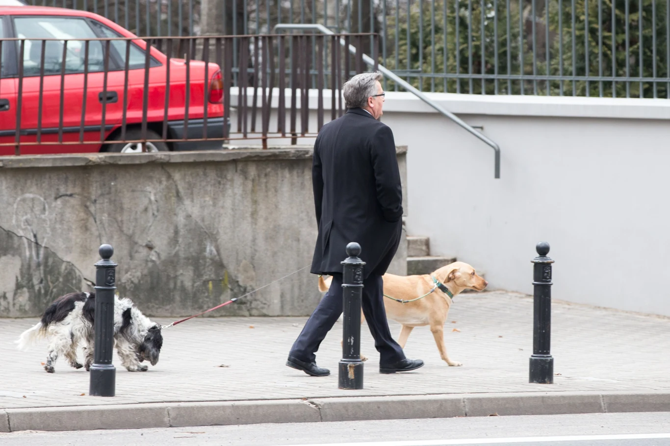 Bronisław Komorowski z psami