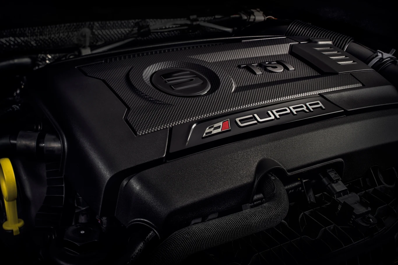 Seat Leon Cupra 290 Seat Leon Cupra 290