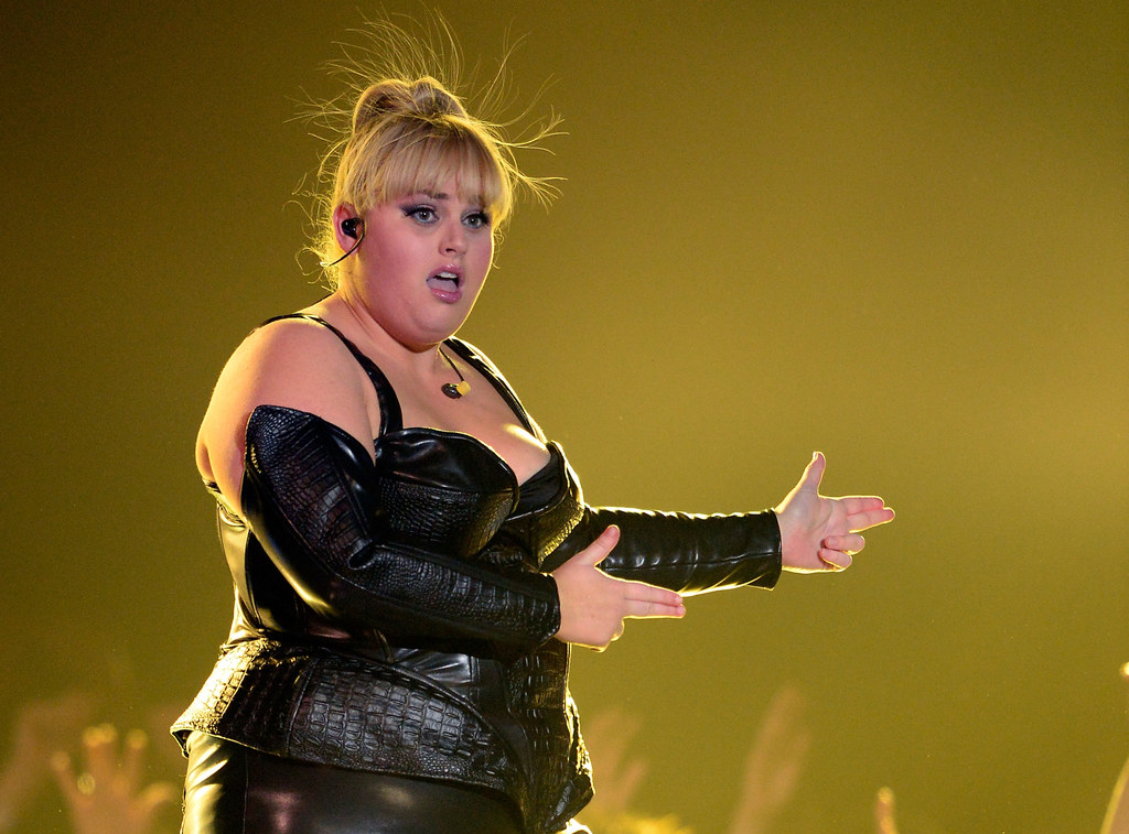 Rebel Wilson naraziła się fankom One Direction