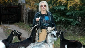 Katarzyna Gaertner