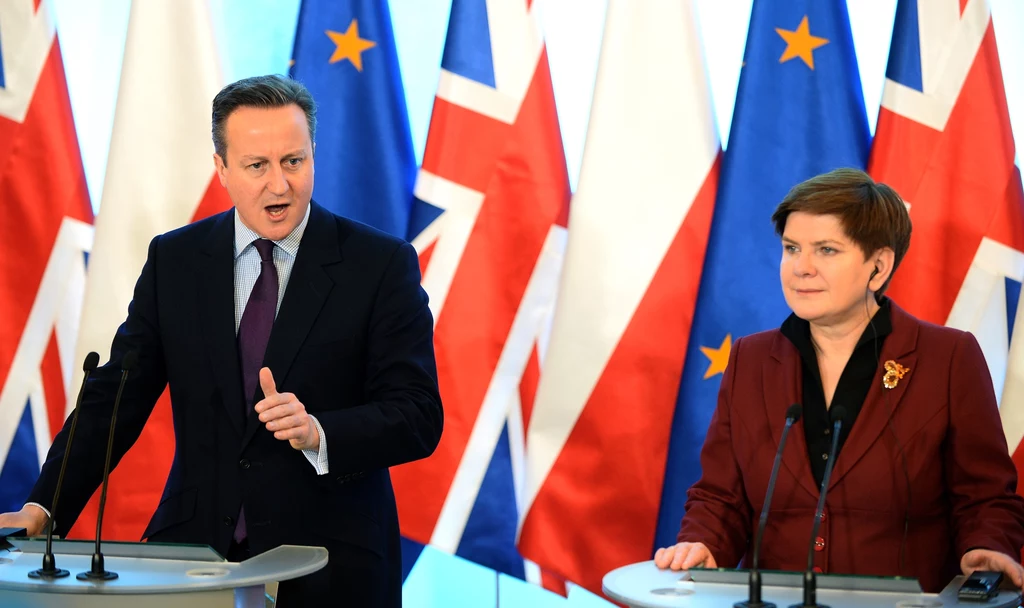 David Cameron i premier Beata Szydło David Cameron i premier Beata Szydło
