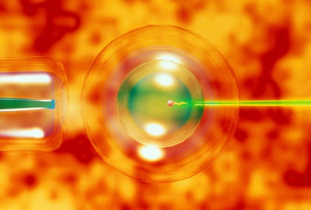 Program in vitro jest już wygaszany Program in vitro jest już wygaszany
