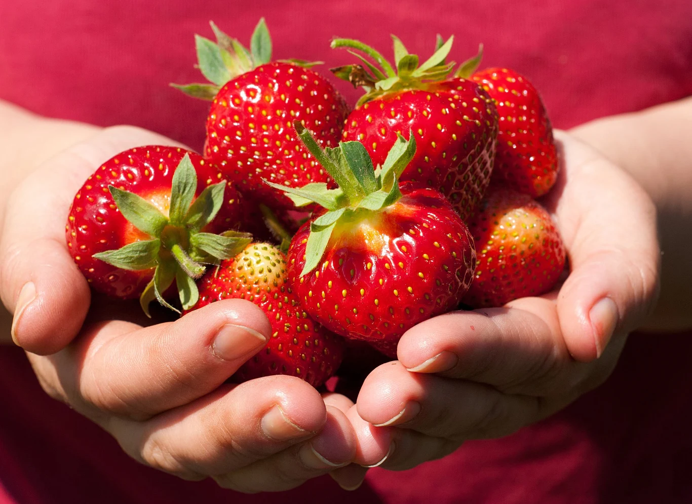 Truskawki mogą osiągnąć spore ceny