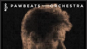 Recenzja Pawbeats "Orchestra": Gardło poderżnięte smyczkiem