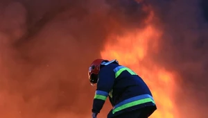 Pożary zombie. Naukowcy alarmują, to poważne zagrożenie