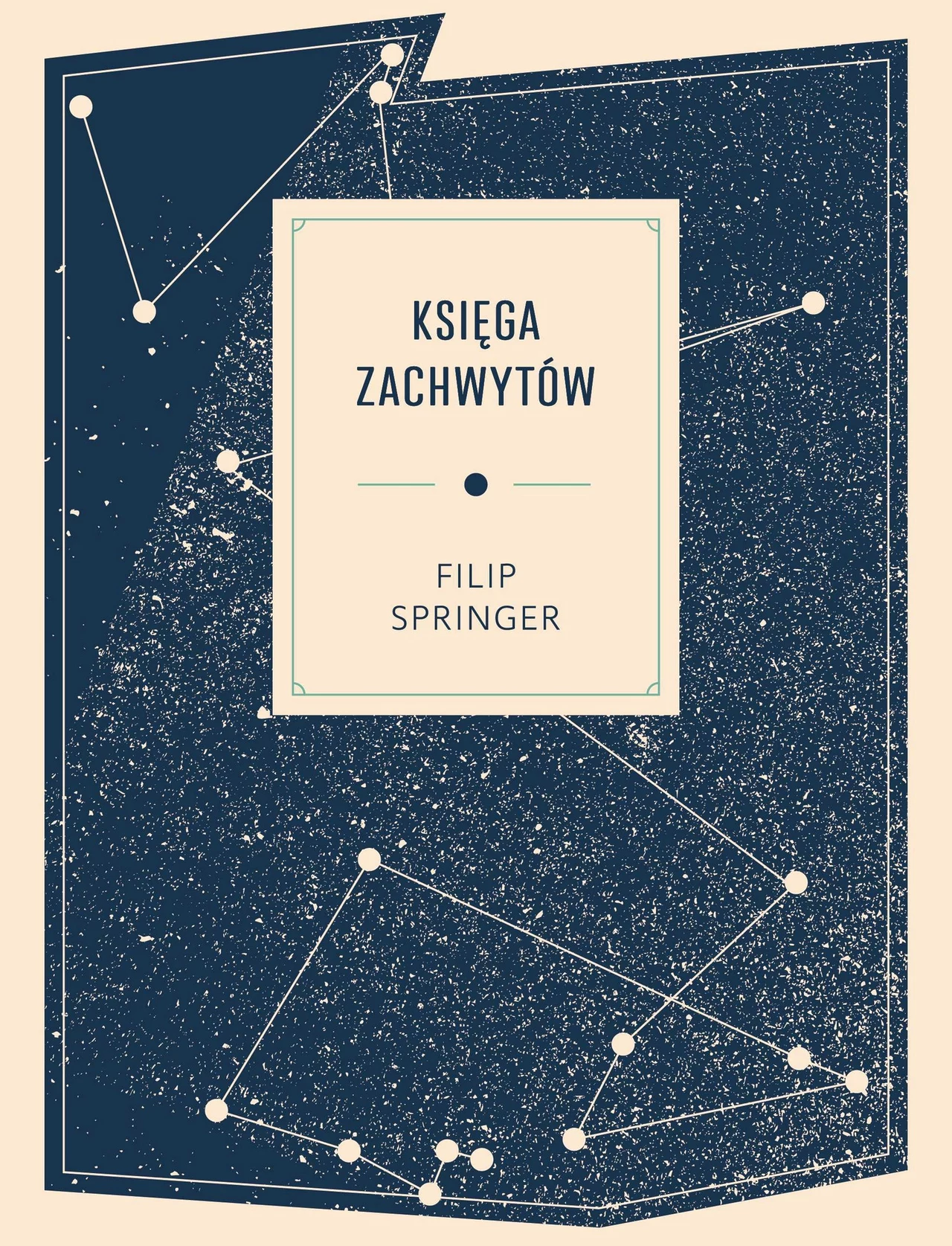 Filip Springer "Księga zachwytów" Filip Springer "Księga zachwytów"