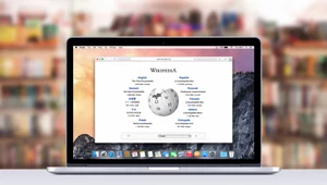 WikiTok losowo wyświetla artykuły z Wikipedii (zdj. poglądowe)