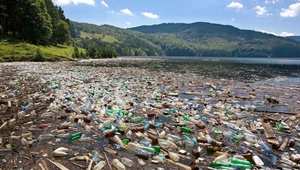 Odkryto bakterie żywiące się plastikiem