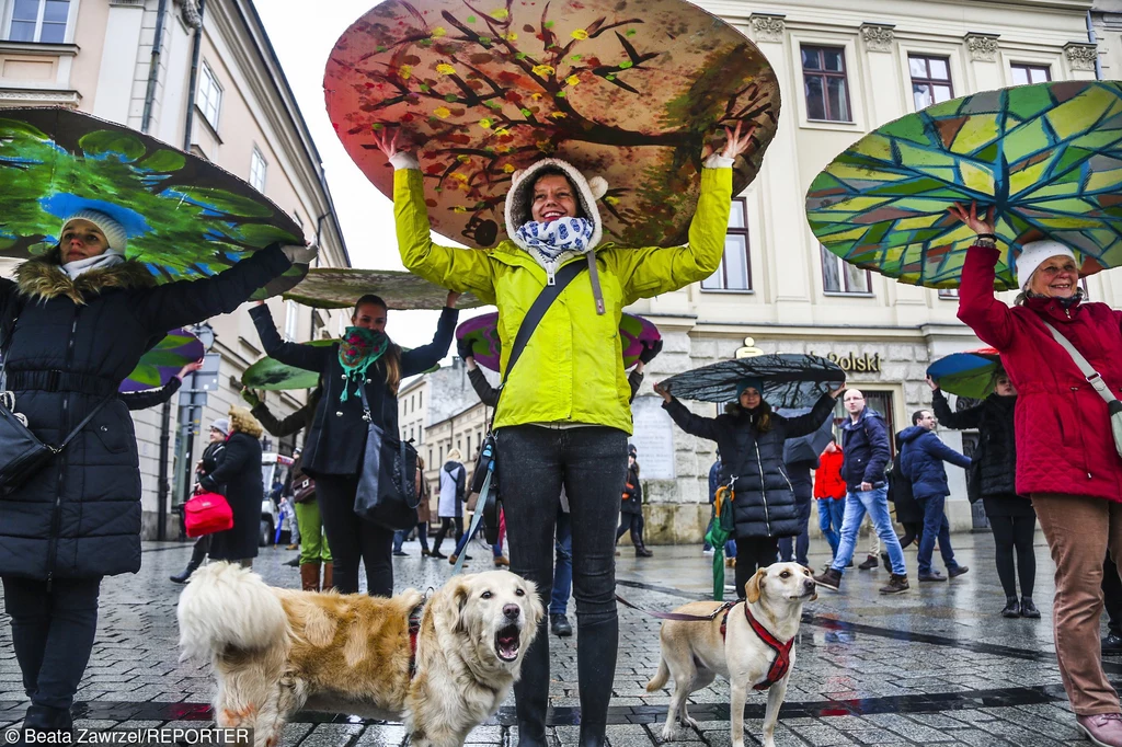 Protest w obronie Puszczy Białowieskiej Protest w obronie Puszczy Białowieskiej