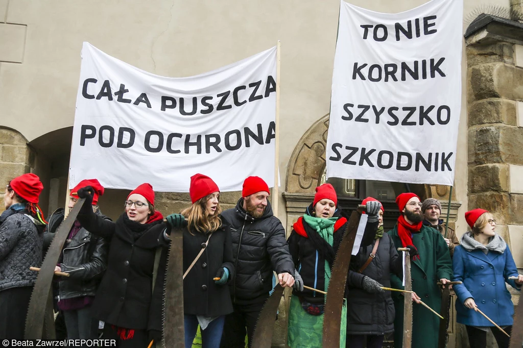 Protest w obronie Puszczy Białowieskiej Protest w obronie Puszczy Białowieskiej