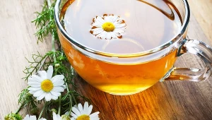 Okłady z rumianku działają przeciwzapalnie i zmniejszają swędzenie oczu w przypadku zapalenia spojówek