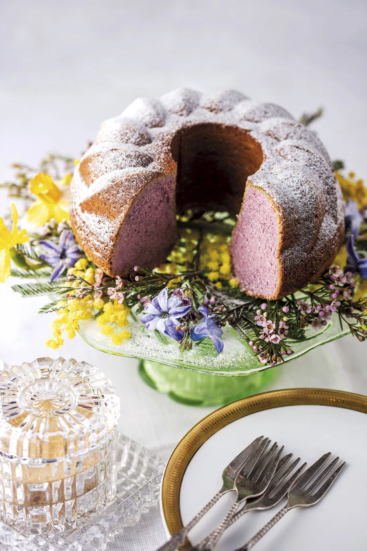 Babka octowa fiołkowa, fot. Krzysztof Kozanowski Babka octowa fiołkowa, fot. Krzysztof Kozanowski