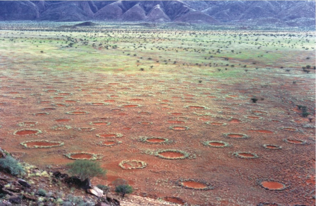 Czarcie koło w Namibii. Fot. Stephan Getzin Czarcie koło w Namibii. Fot. Stephan Getzin