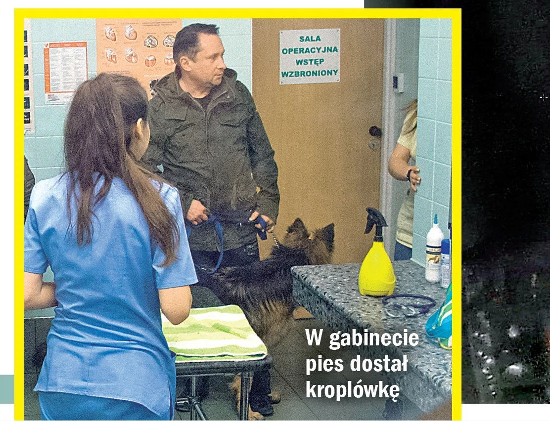 Kamil z psem na zabiegu (Źródło: Życie na Gorąco) Kamil z psem na zabiegu (Źródło: Życie na Gorąco)