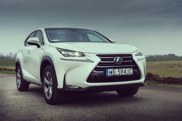 Lexus NX 300h