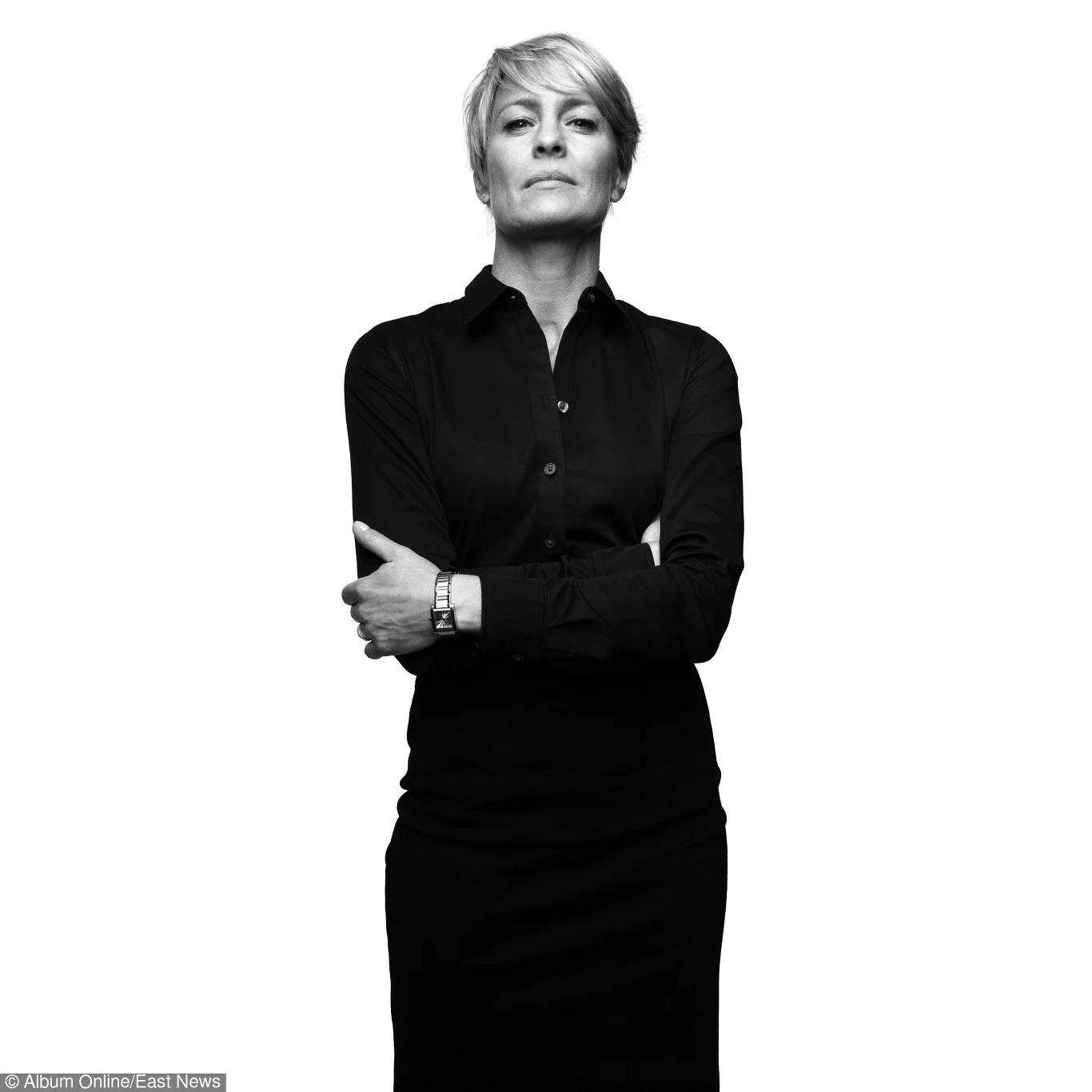 Od 2013 roku Robin Wright oglądamy w serialu Netflixu "House of Cards", w którym wciela się w żonę polityka Franka Unerwooda, granego przez Kevina Spaceya.

Aktorka przyznała, że aby doskonalić swoją serialową postać, nie naśladowała żadnego polityka, tylko obserwowała zachowanie drapieżnych ptaków. 

"Obserwowałam ich odwagę, szlachetność, królewskość. One są inteligentne i bardzo przebiegłe. I rządzą ptasim światem" - przyznała Wright.

 

 