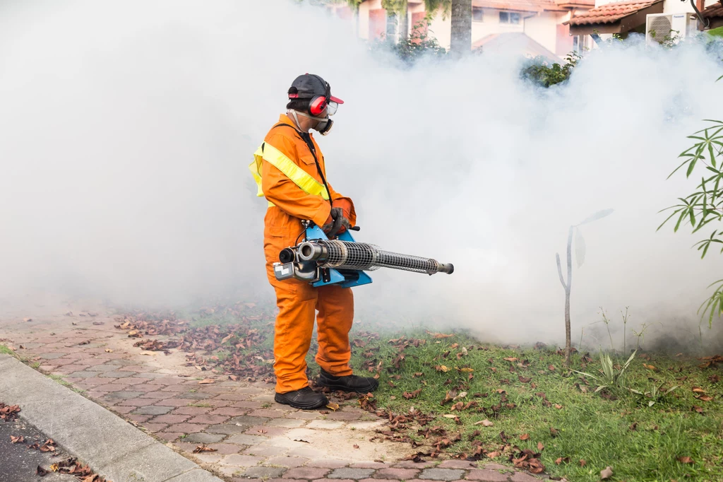 Walka z komarami. Czy Europie grozi epidemia wywołana przez te owady?