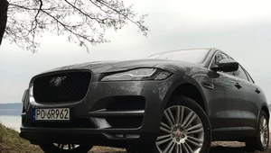 Jaguar F-Pace na mazurskich drogach i bezdrożach