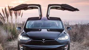 Tesla Model X do serwisu. Może złamać kręgosłup! 