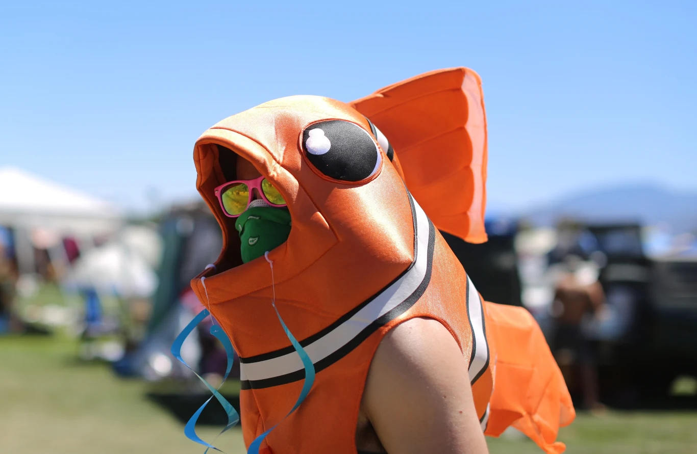 Publiczność na festiwalu Coachella