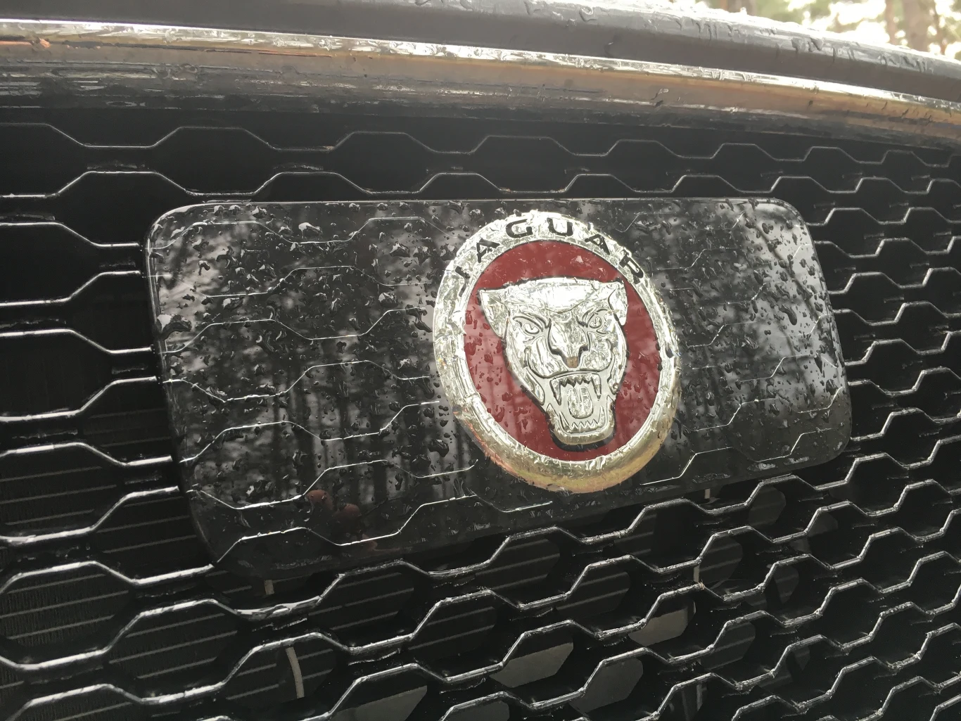 Jaguar F-Pace Jaguar F-Pace