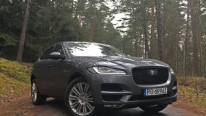 Jaguar F-Pace: drapieżnik udomowiony