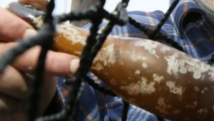 W środku butelki była kartka pocztowa (zdjęcie ilustracyjne)