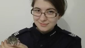 Uratowanym kotem zaopiekowała się policjantka z katowiciego komisariatu