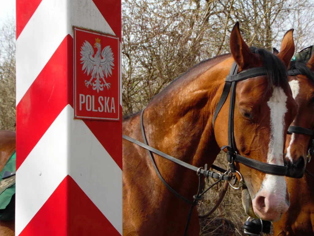 Na bieszczadzkim odcinku granicy bardzo często można spotkać patrole konne