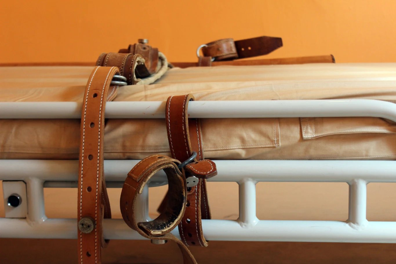 W raporcie z kontroli pracownicy biura opisali wiele przypadków znęcania się nad pacjentami W raporcie z kontroli pracownicy biura opisali wiele przypadków znęcania się nad pacjentami